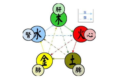 金 五行|五行（对万事万物的取象比类）